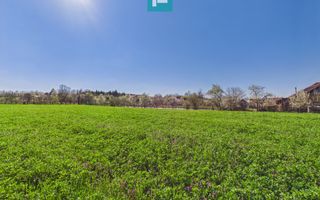 Teren intravilan 3024 mp, în comuna Almaș, Arad - Poză 3