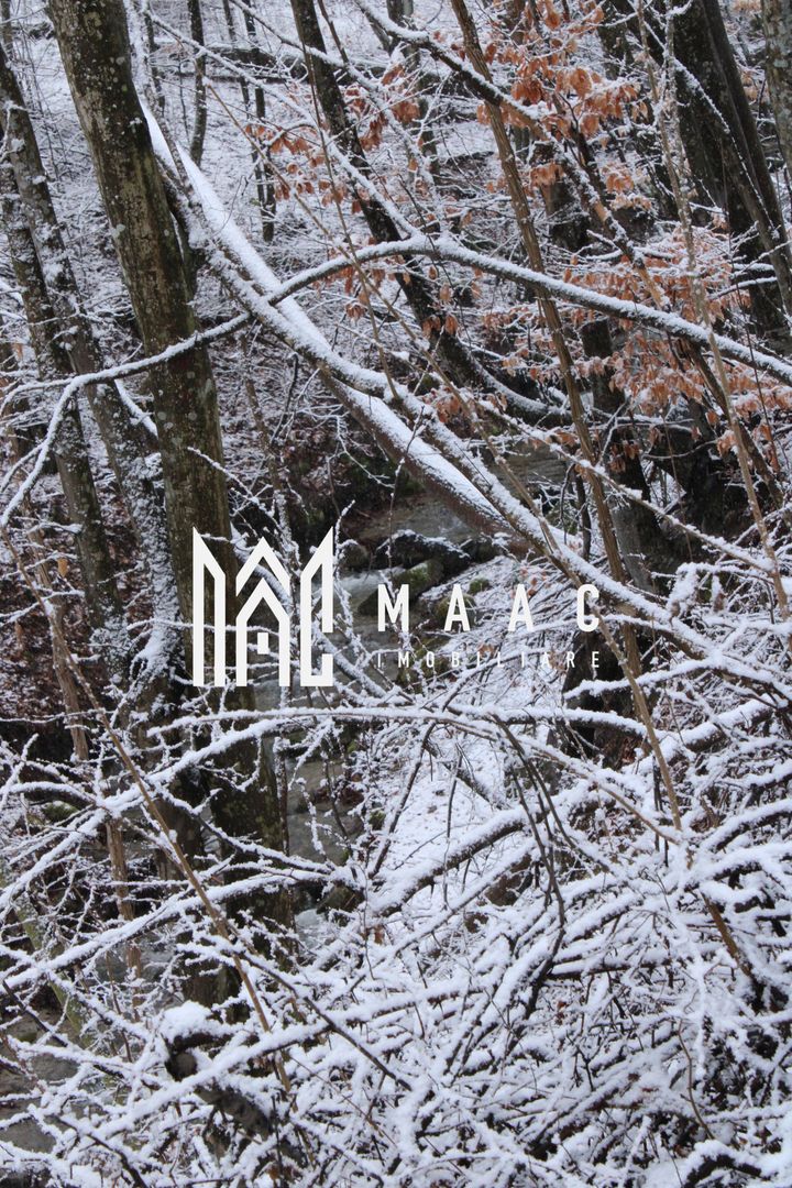 Teren cu izvor de apă minerală  Dangești, Punctul Valea Mare - Poză 22