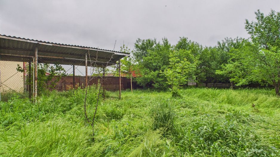 Casă de reabilitat pe teren generos- Comuna Variaș - Poză 24