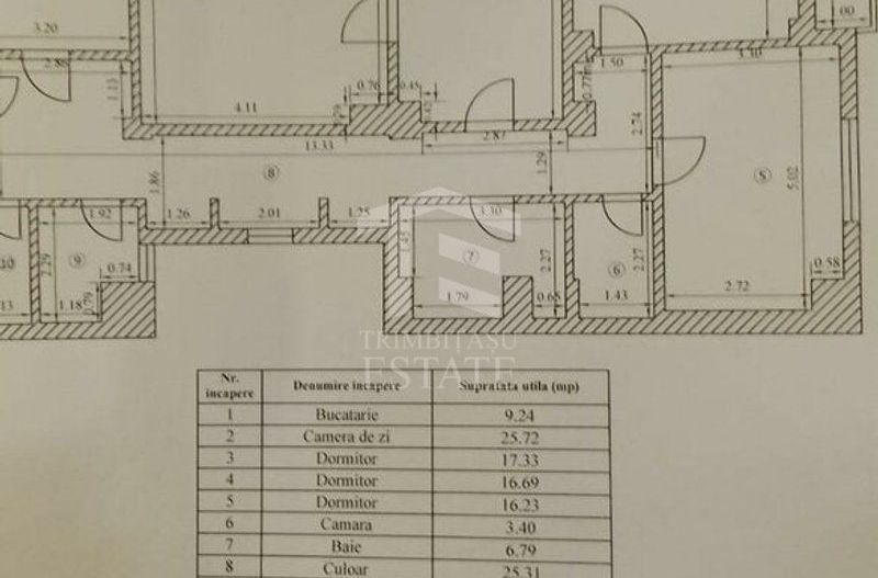 4 camere | 137 mp | Matei Voievod - Poză 4