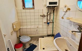 Vanzare proprietate mixtă – Casă + spațiu birou, Ultracentral - Poză 34