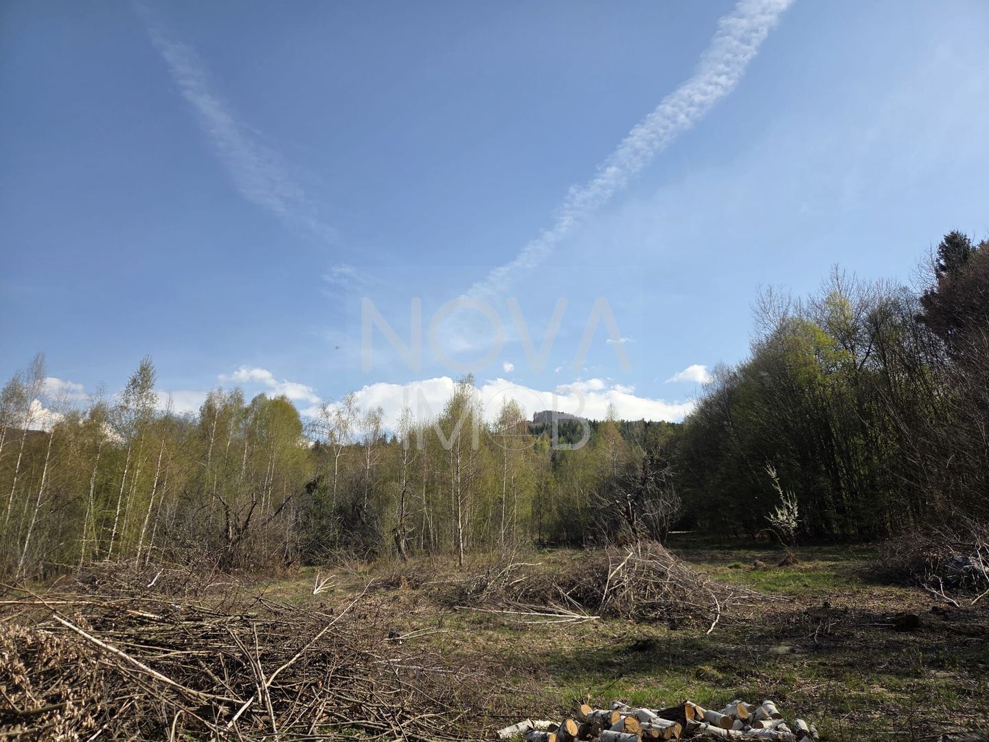 Teren intravilan de vanzare - Vistisoara - Poză 3