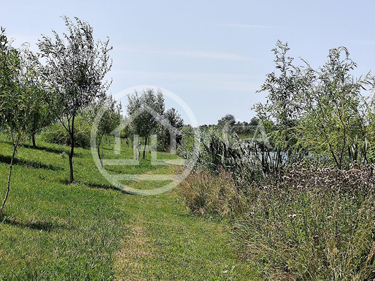 De vanzare BALTA DE PESCUIT, 3,80 ha, cabana din busteni, langa Vama Bors, Bihor - Poză 22