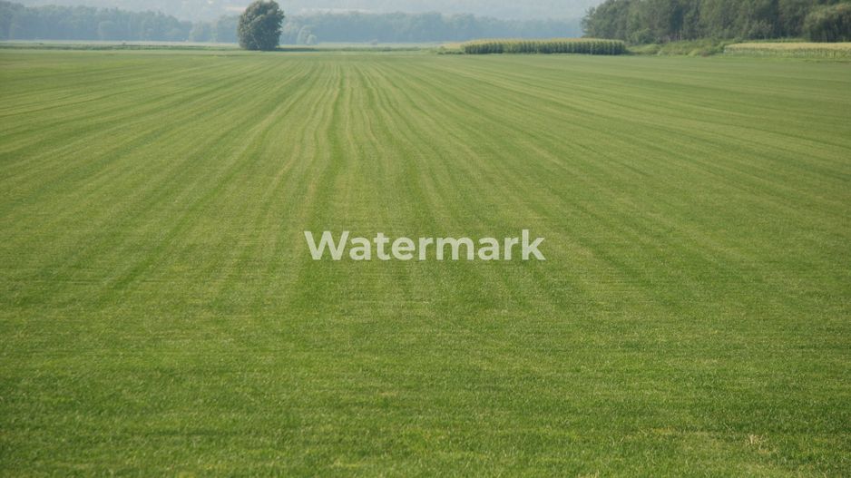 Teren cu PUZ de vanzare in Faget! - Poză 1