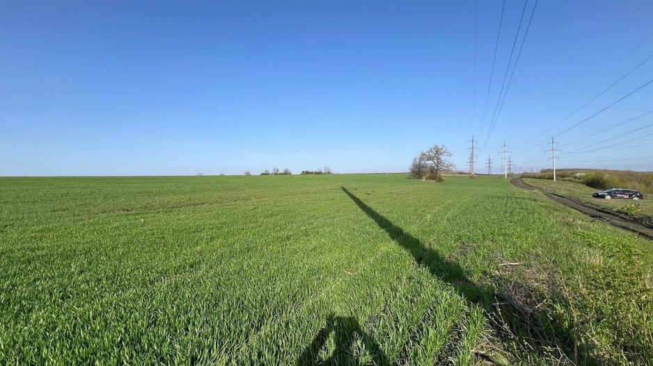 Teren 41,49 ari Ghidighici | deschidere 122 m | agricol | investiție - Poză 13