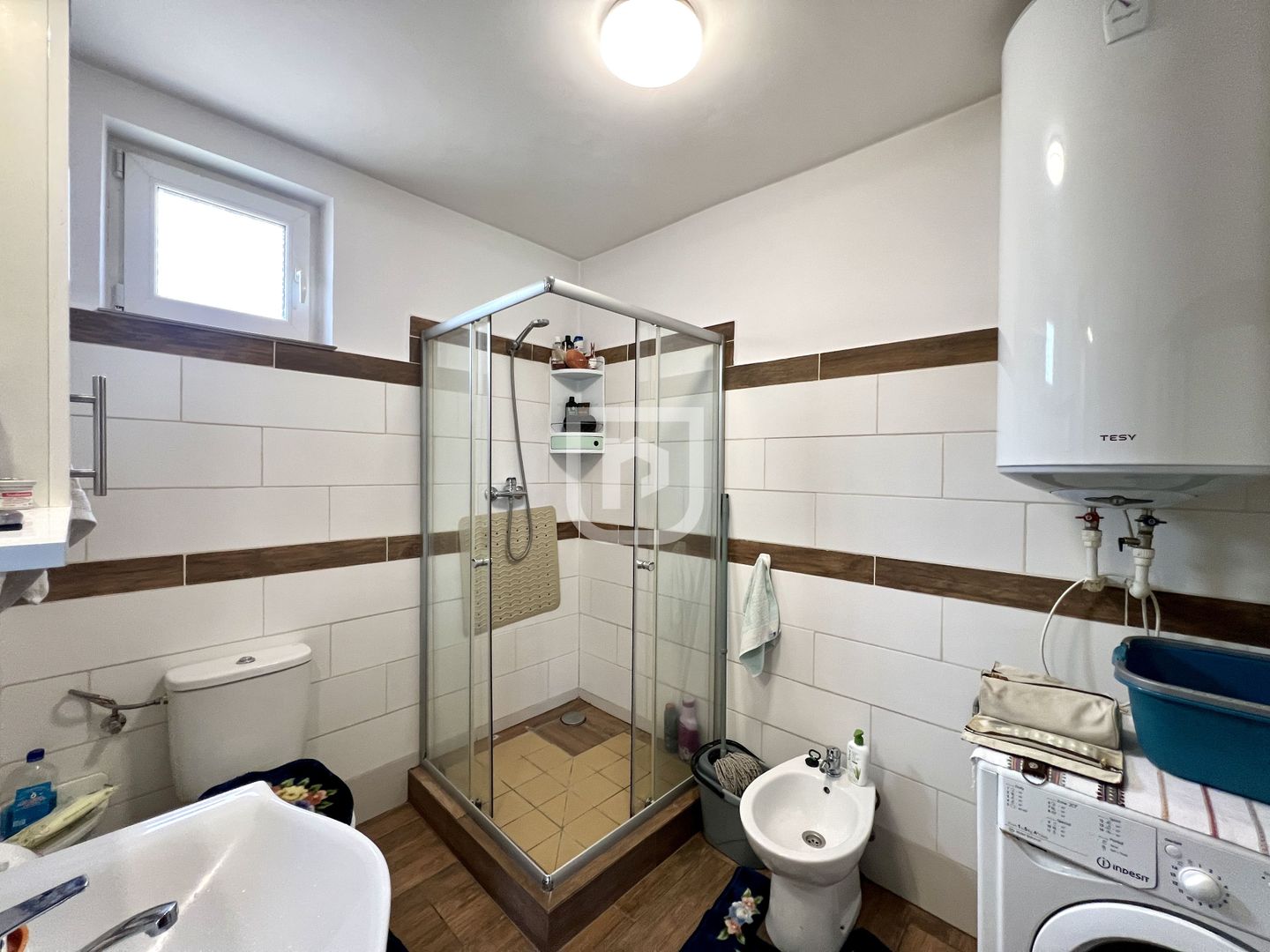 Ferma agricola, plantatii de mure, trandafiri, vita-de-vie - Poză 9