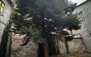 Vânzare, spațiu pentru servicii medicale, Timișoara - Poză 9