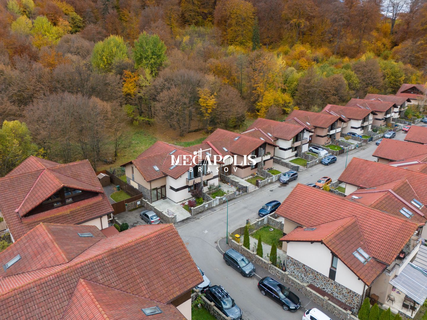 Iesire direct in Padure / Green Park Villas - Poză 2