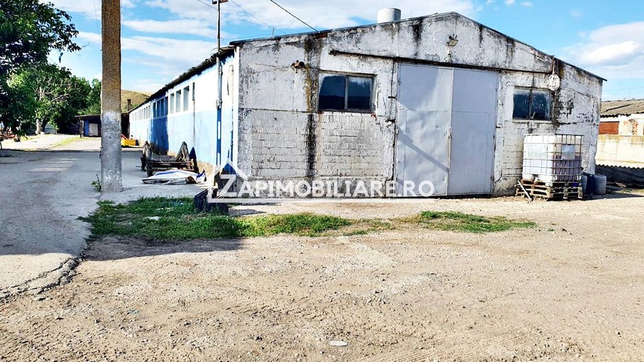 Hale cu suprafete utile de 832 mp si 578 mp. birouri 187 mp - Poză 6