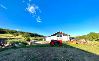 Ferma de vanzare cu 550MP utili si 27.500MP teren la asfalt - Poză 7