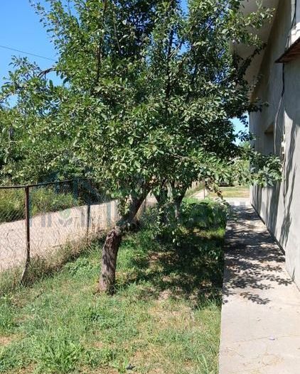 Casă de vânzare – Lunca Cetățuii, comuna Ciurea - Poză 3