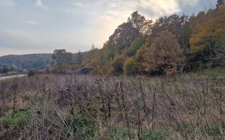 Teren 1,717mp Margineni / Strada Sat podis - Poză 6