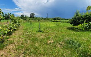 Teren cu vie și livadă, 5442 mp, Contesti (Valea Seaca), Iasi - Poză 6