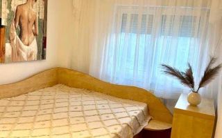Apartament 2 camere de vanzare Aviatiei Serbanescu - Poză 2