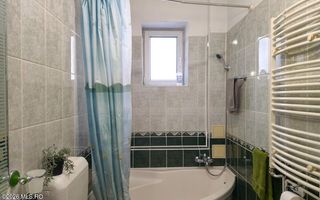 Lunei - Ion Neculce, 2 Apartamente. Mansarda 157 mp. Anexe, Lot 475 mp - Poză 31
