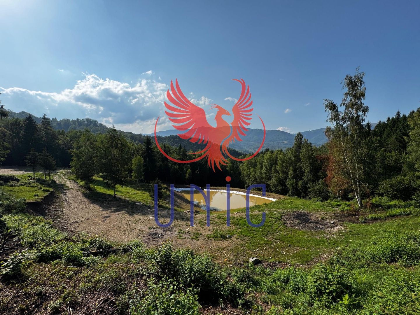 18000 mp de natura pura ,Lupeni, langa Straja - Poză 28