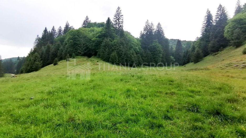 Teren intravilan langa Poiana Brașov, 52 mp front strdal, Utilitati in zona - Poză 11