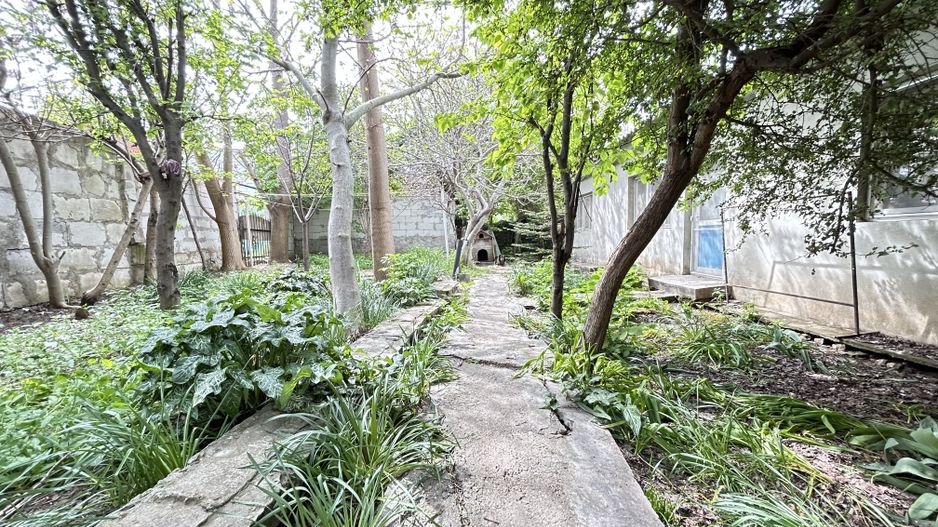 Casa P+1 ideala pentru 2 familii sau pentru inchiriere – zona centrala - Poză 24
