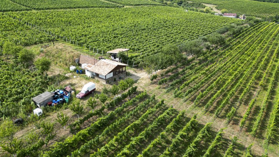 Vie Tradițională „Halta Lupilor” - Poză 49