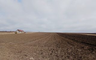 Teren Moara, Suceava I 77 ARI I Preț 2.500 euro/ar - Poză 2