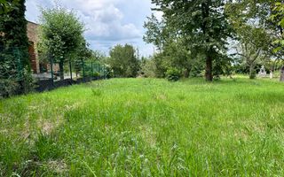 Teren 1000 mp cu Autorizație Construcție  - Făget, zona superba - Poză 2