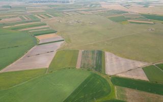 Teren arabil de 40 hectare în Zarand - Poză 2