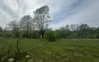 TEREN EXTRAVILAN 40000 MP, ALBESTI DE MUSCEL, CANDESTI - Poză 6