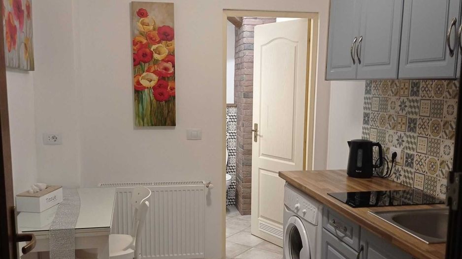 Apartament 2 camere Centrul Istoric - Poză 3