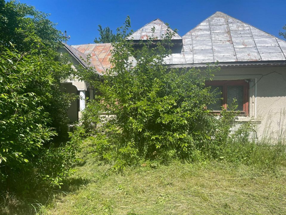 De Vanzare Gospodarie Cerbu - Poză 2