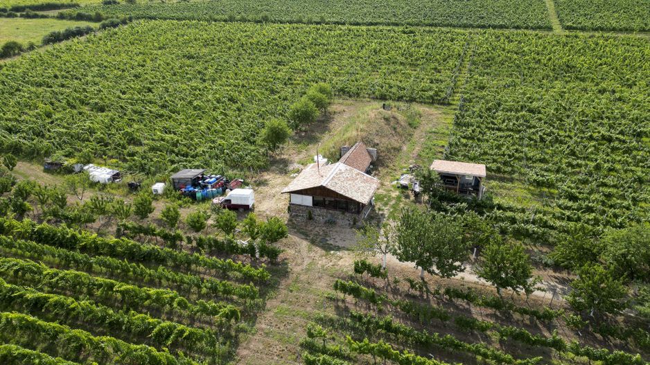 Vie Tradițională „Halta Lupilor” - Poză 41