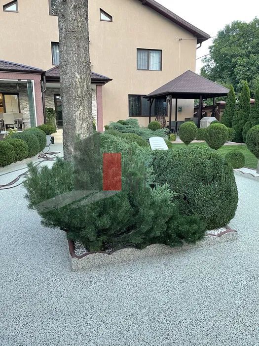 Vilă de lux de închiriat – ideală pentru afaceri - Poză 4