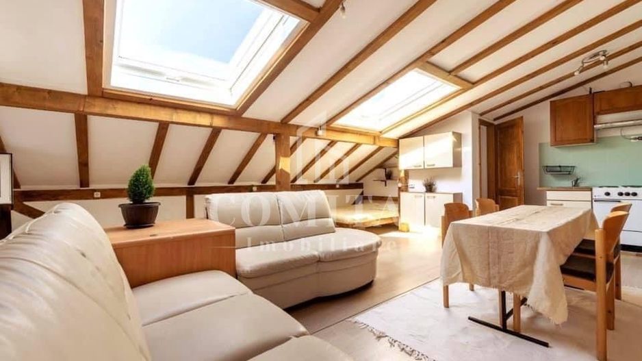 Apartament tip studio | la casă | zona Vasile Lupu - Poză 6