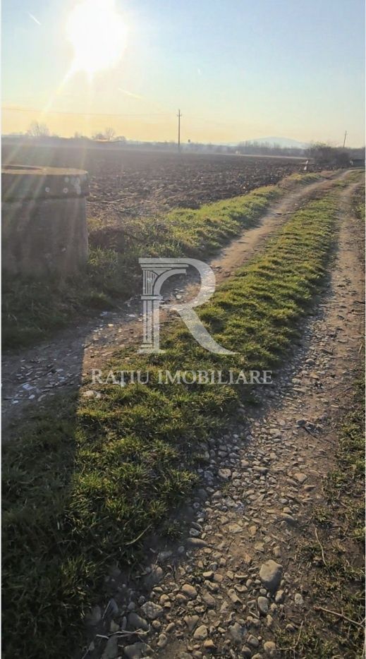 Teren Intravilan | 1780 mp | Sânmartin - Poză 2