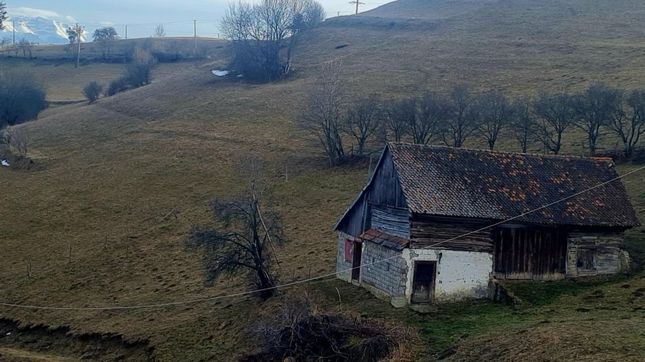 Oaza de liniste si frumusete, reconectare cu natura, 16.000 mp, Poiana Marului - Poză 7