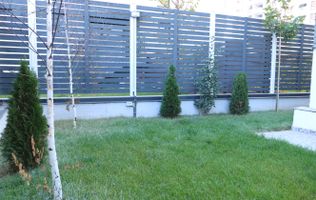 DRUMUL TABEREI | 3 CAMERE | PARTER | CURTE PROPRIE 57MP| 2 BAI | COMISION 0% |