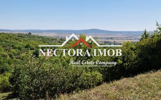 NECTORA IMOB-Teren Zona Podgoria,3400 mp (Intravilan + Extravilan) - Poză 1