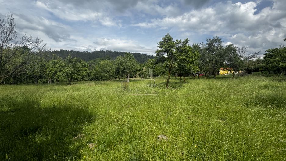 TEREN INTRAVILAN 4600 MP, VOINESTI, LERESTI, ARGEȘ - Poză 11