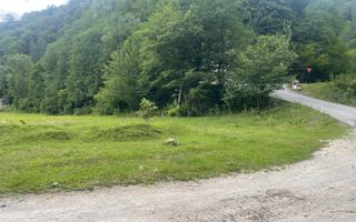 Teren pentru investiție turistică în Dâmbovicioara – Baranga | 4.500 mp | Front ~102 ml - Poză 1