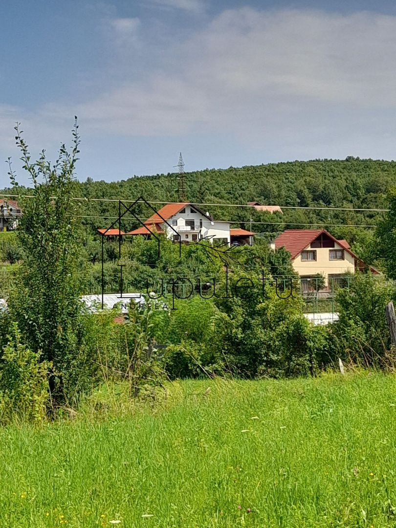 Teren Intravilan | 1500 MPU | Tocile, Comuna Sadu - Poză 4