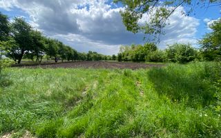 Teren Intravilan | 22 ARI | Horodnic De Jos - Poză 4