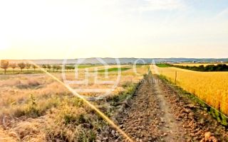 Teren intravilan de vanzare in Alparea, Bihor - Poză 1