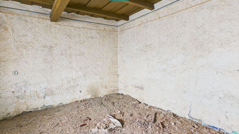 Casă modestă cu 3 camere de renovat în Mișca - Poză 9