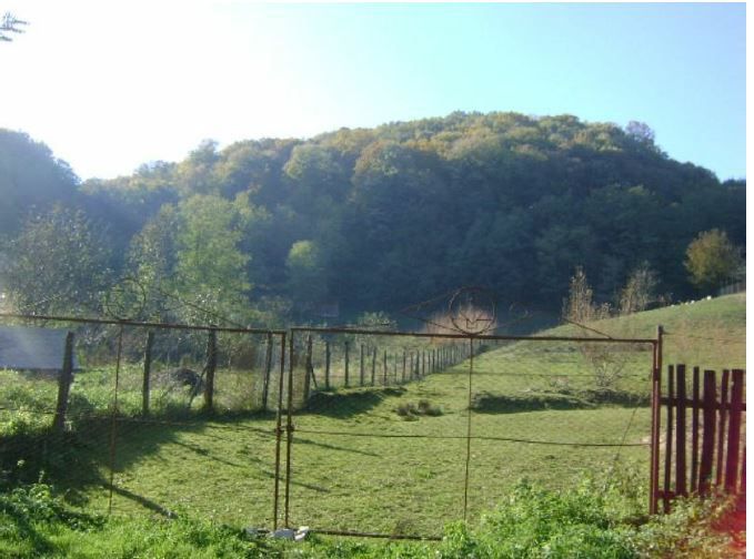 Teren Bocsa Montana - Poză 2