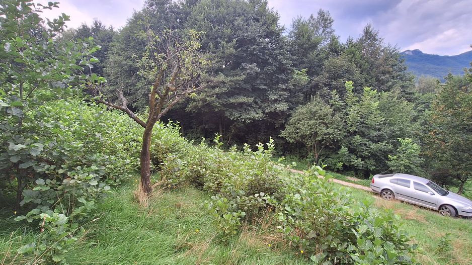 Bran-Predelut doua parcele de 2000+3000mp pret 25 euro/mp - Poză 18