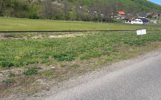 Teren intravilan 8900 mp-Sacadat-Sovata - Poză 3