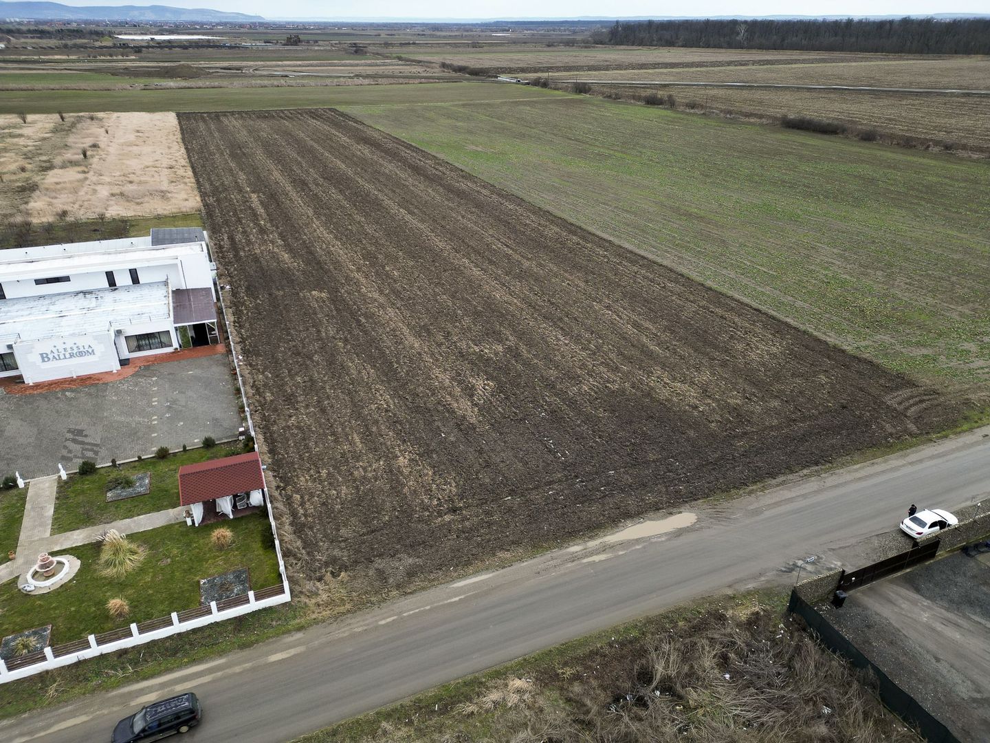 Teren 20.000 mp Vladimirescu - Poză 4