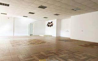 Hala industriala de inchiriat – Arad, Strada Padurii - Poză 7