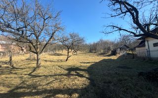 TEREN INTRAVILAN 3400 MP, VOINESTI, LERESTI - Poză 1