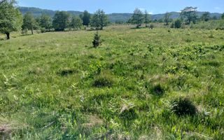 Teren extravilan | Vicovu de Jos | Preț 25.000 - Poză 5