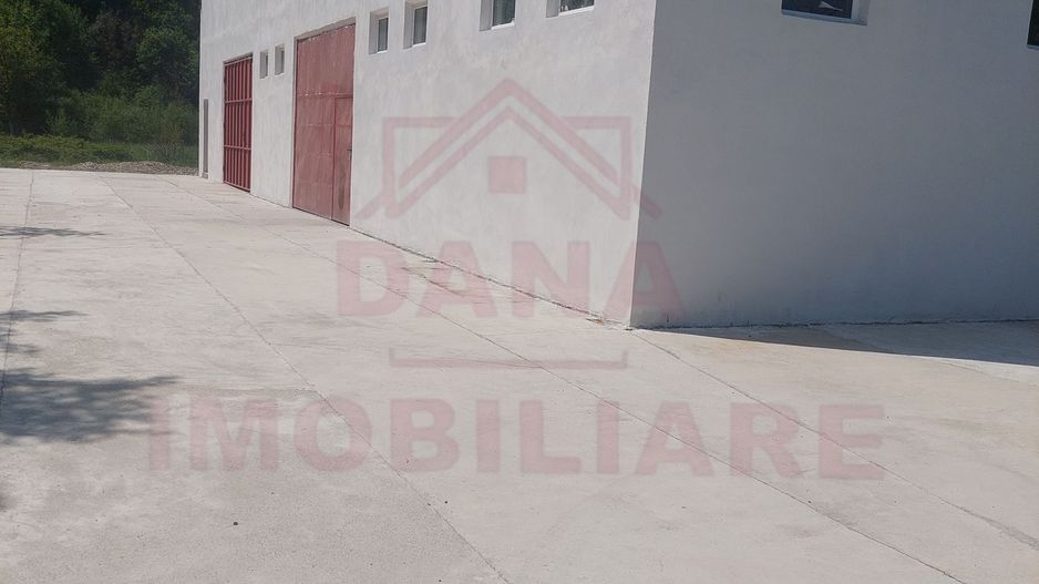 HALĂ DE VÂNZARE SAU ÎNCHIRIERE, ÎN  LOC.. BĂUȚAR, JUD. CARAȘ-SEVERIN - Poză 3